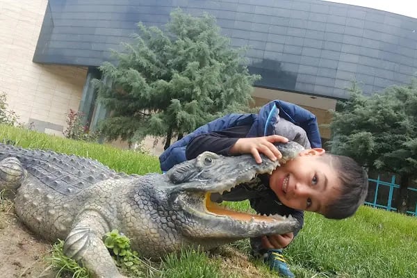 Keçiören Belediyesi Kalaba Spor Merkezi ve Yüzme Havuzu - Resim 6