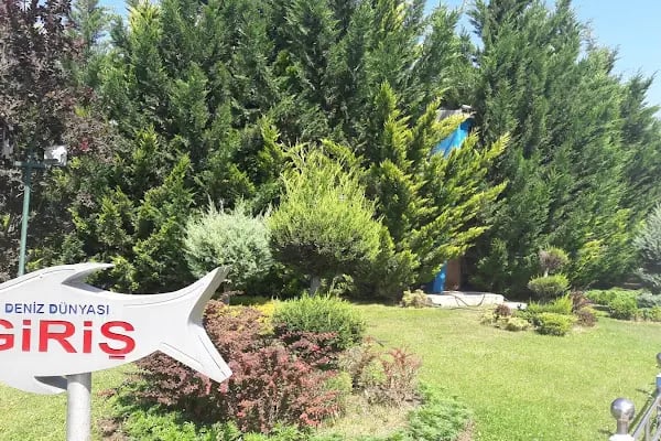 Keçiören Belediyesi Kalaba Spor Merkezi ve Yüzme Havuzu - Resim 8