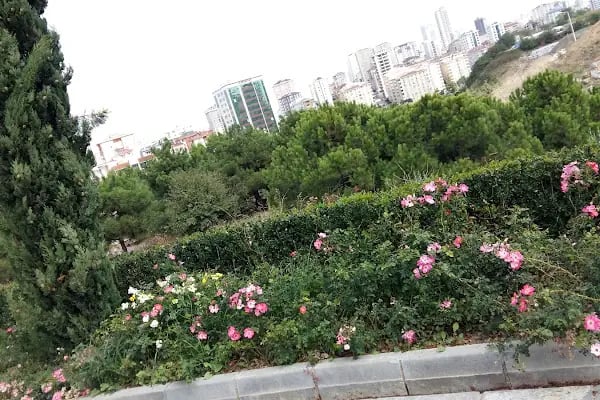 Gardenya-3 Sitesi - Resim 9