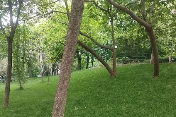 Gardenya-3 Sitesi - Resim 17