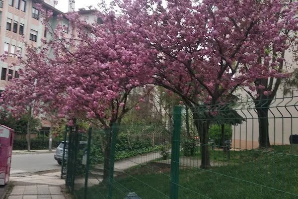 Gardenya-3 Sitesi - Resim 15