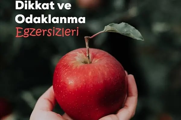 Uzman Nöropsikolog Nurullah Abaş. Uzman Psikolog/Beyin Gelişim Uzmanı- Brainfit Uygulamaları Şanlıurfa - Resim 16