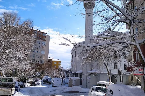 Koçlar Hacı Muhlis Ağa Ve Hacı Fatma Hatun Camii - Resim 2