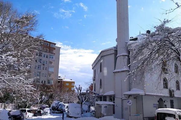 Koçlar Hacı Muhlis Ağa Ve Hacı Fatma Hatun Camii - Resim 11