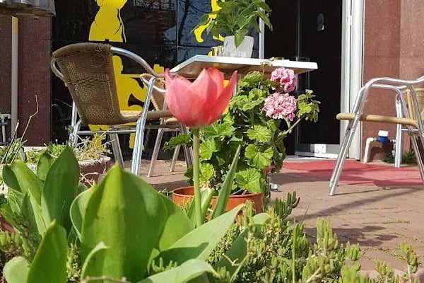 İzmit Pallas Athena Masaj &amp; Spa Merkezi - Resim 19