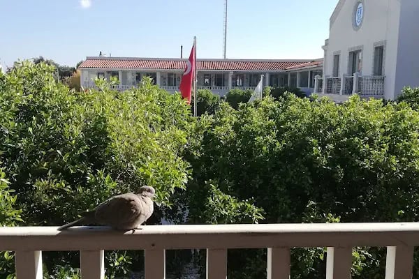 Bodrum Belediye Başkanlığı - Resim 18