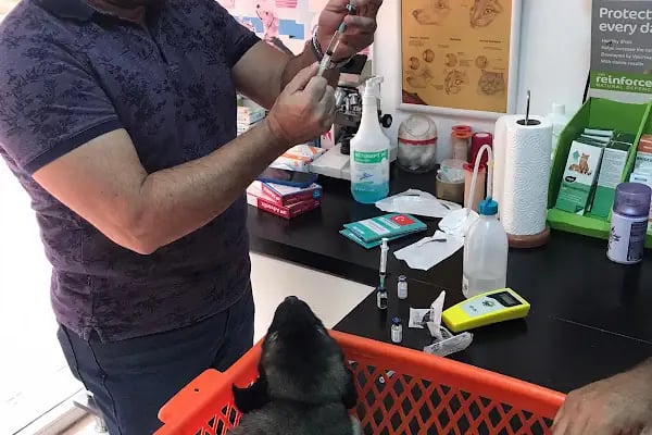 Damlataş Veteriner Kliniği - Resim 4