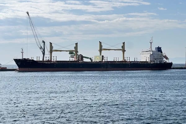 Ceyport Tekirdağ Uluslararası Liman İşletmeciliği A.Ş. - Resim 15