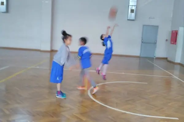 Ord.Prof.Dr. Ekrem Akurgal Kapalı Spor Salonu - Resim 16