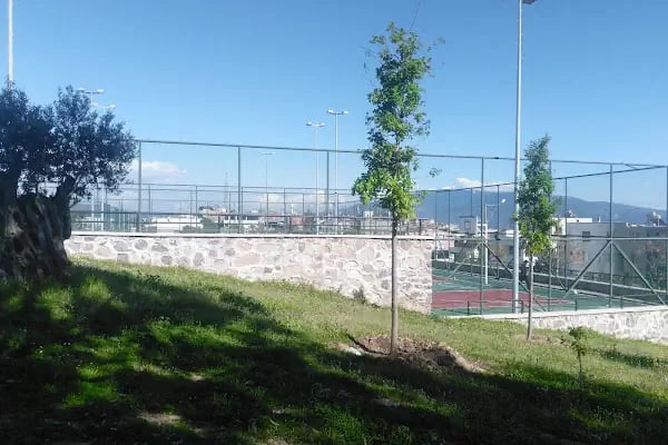 Ord.Prof.Dr. Ekrem Akurgal Kapalı Spor Salonu - Resim 4