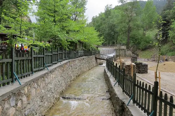 Akşehir Kent Ormanı - Resim 2