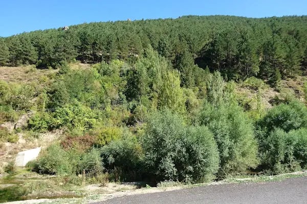 Akşehir Kent Ormanı - Resim 5