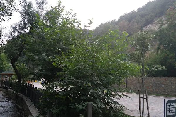Akşehir Kent Ormanı - Resim 18