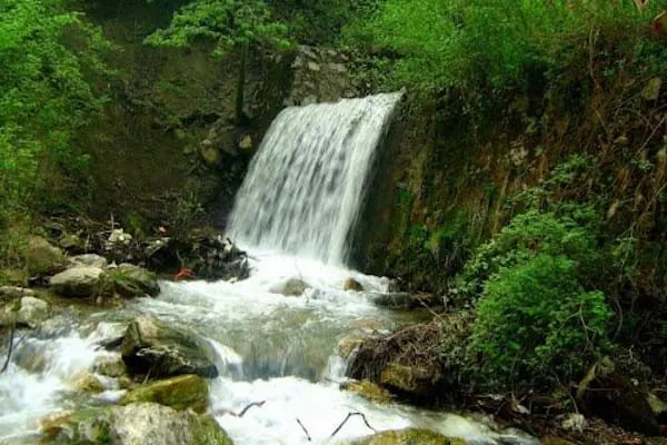 Akşehir Kent Ormanı - Resim 10