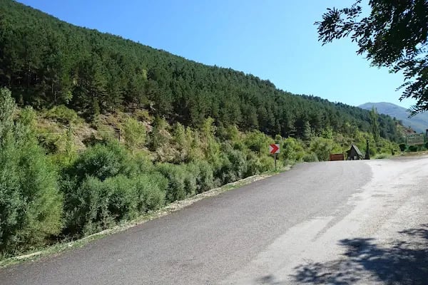 Akşehir Kent Ormanı - Resim 6