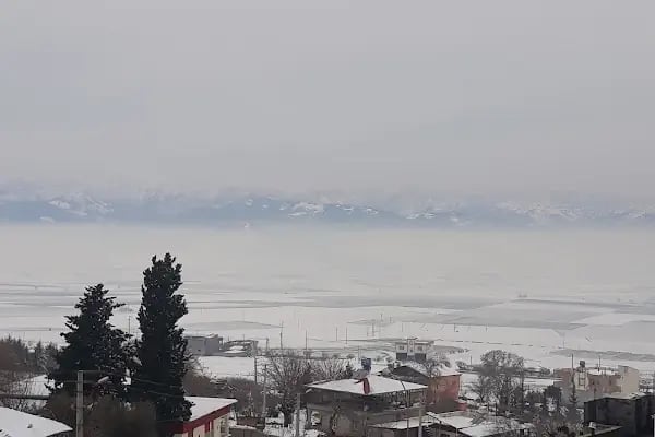 Şehit Şirin Diril Çok Programlı Anadolu Lisesi - Resim 3