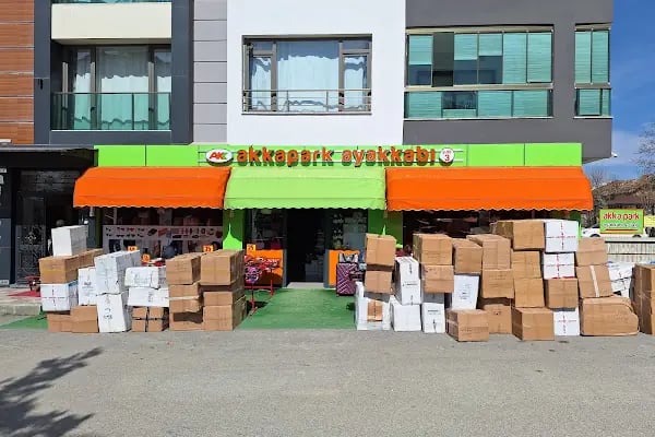 Akkapark Ayakkabı ÇİLESİZ şb. 44 - Resim 6