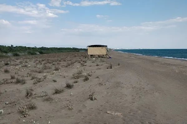 Kumköy Çadır Kampı - Resim 9