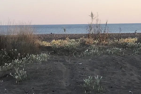 Kumköy Çadır Kampı - Resim 18