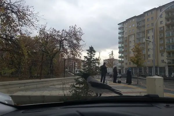 15 Temmuz Milli İrade Parkı - Resim 11