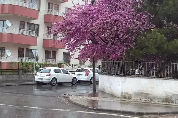 15 Temmuz Milli İrade Parkı - Resim 19