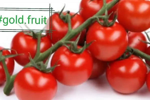 GoldFruit Tarım Sebze Meyve İth. İhr. Ltd. Şti - Resim 13
