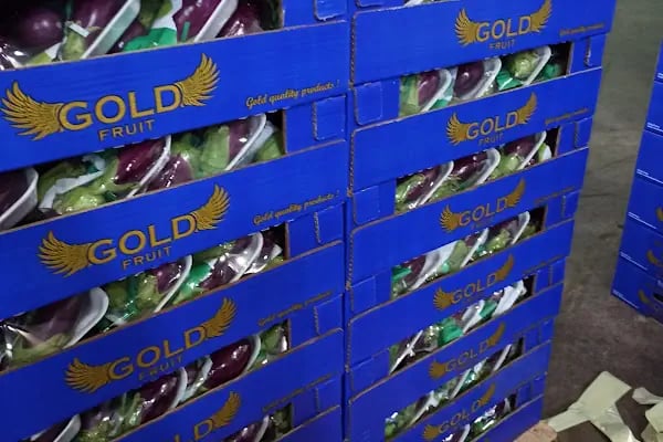 GoldFruit Tarım Sebze Meyve İth. İhr. Ltd. Şti - Resim 8