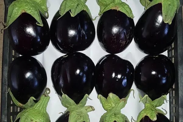 GoldFruit Tarım Sebze Meyve İth. İhr. Ltd. Şti - Resim 5