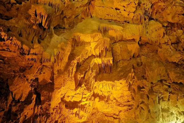 Odeon Tours Genel Müdürlük - Resim 5