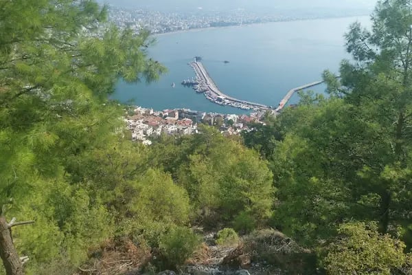 Odeon Tours Genel Müdürlük - Resim 3