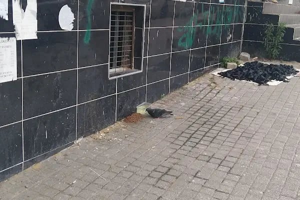 Köyiçi Dinlenme Parkı - Resim 9