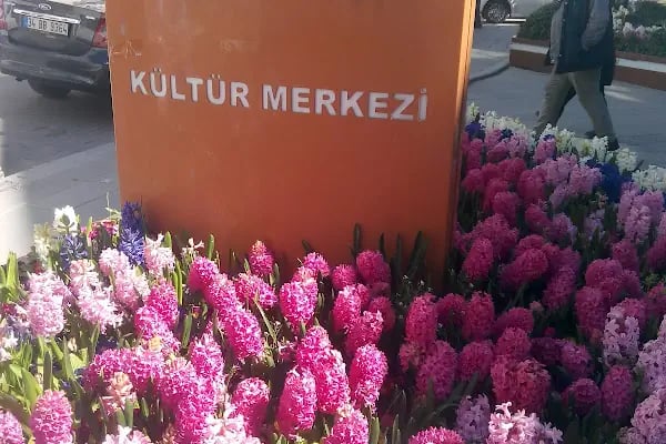 Köyiçi Dinlenme Parkı - Resim 3