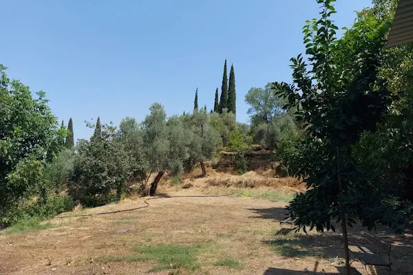 ALİ BABA TÜRBESI - Resim 6