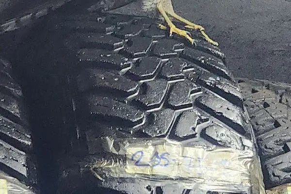 Racon oto lastik tamir bakım onarım değişim alım satım yol yardım - Resim 2