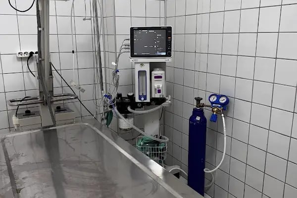 Akhisar Anka Veteriner Kliniği - Pet Kuaför - Resim 12