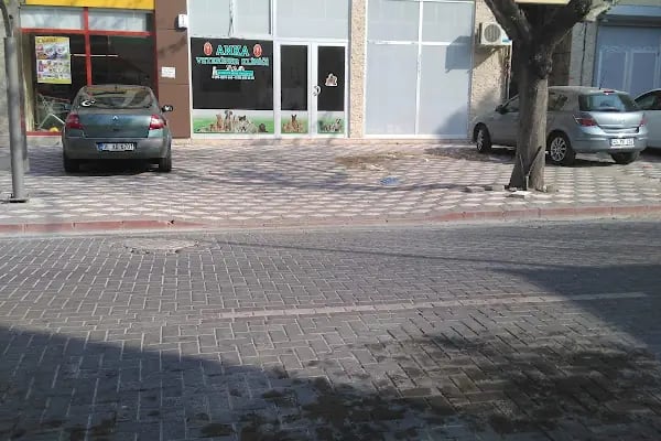 Akhisar Anka Veteriner Kliniği - Pet Kuaför - Resim 16