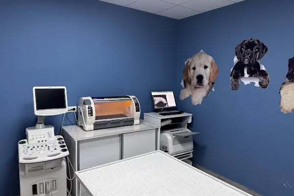 Akhisar Anka Veteriner Kliniği - Pet Kuaför - Resim 5