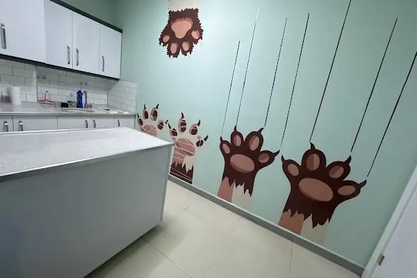 Akhisar Anka Veteriner Kliniği - Pet Kuaför - Resim 13