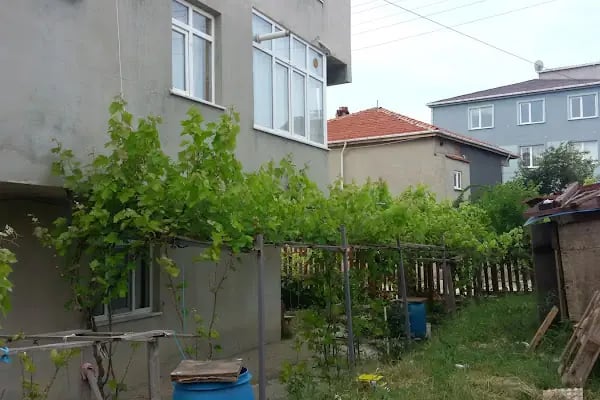 Saray Taşımacılık - Resim 2