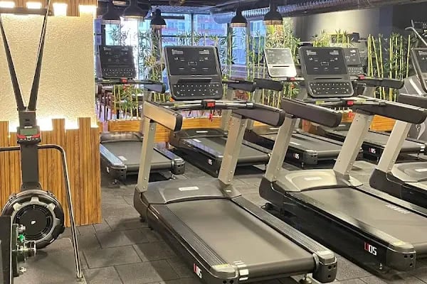 LEO GYM - Resim 12