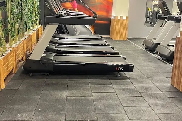 LEO GYM - Resim 10