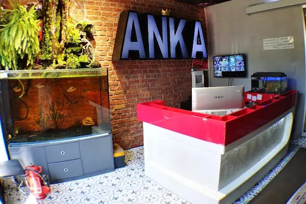 ANKA KONUTLARI KIZILAY - Resim 2