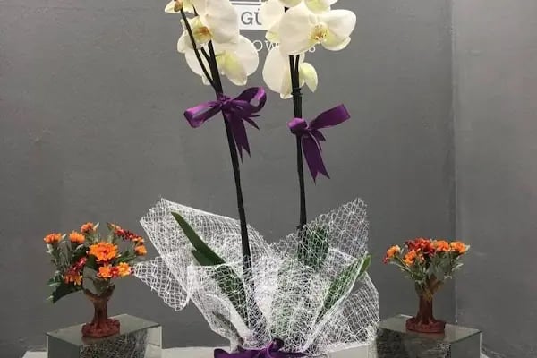 Sefaköy Çiçekçi &amp; İzden Flowers - Resim 6