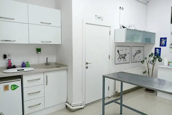 MİLA VETERİNER KLİNİĞİ - Resim 3