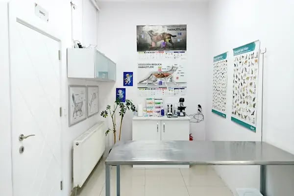 MİLA VETERİNER KLİNİĞİ - Resim 5