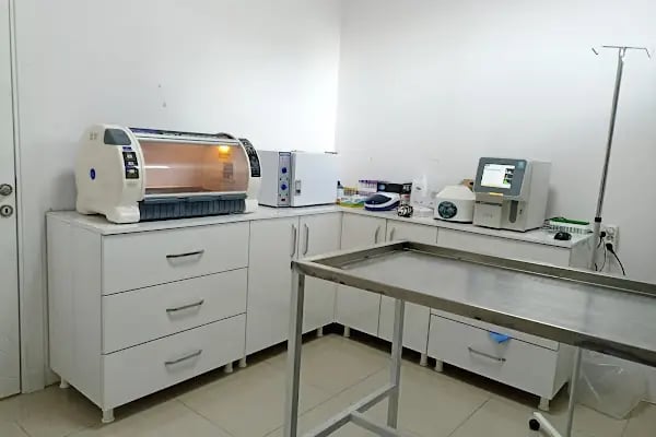 MİLA VETERİNER KLİNİĞİ - Resim 4