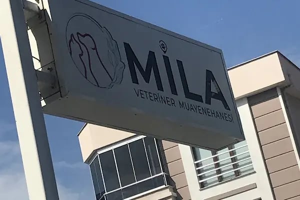 MİLA VETERİNER KLİNİĞİ - Resim 14
