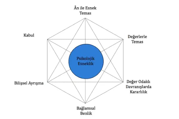 TerapiMER Psikolojik Destek &amp; Bireysel Gelişim Merkezi - Resim 9