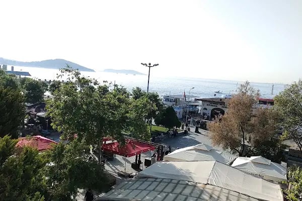 Aslan Bey Kebab - Resim 9