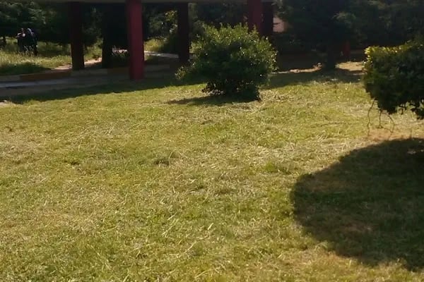 Bakırköy Prof. Dr. Mazhar Osman Ruh ve Sinir Hastalıkları Hastanesi Müzesi - Resim 20